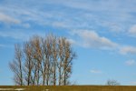 DSC_8789k.jpg
