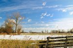 DSC_8815k.jpg