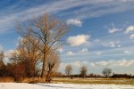 DSC_8818k.jpg
