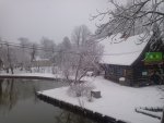 IMG_20130329_102917[1].jpg