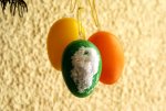 DSC05413_900.jpg
