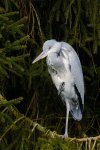 DSC_8882k.jpg