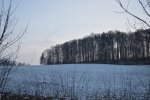 DSC_0014.JPG