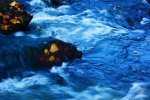 waterworld_by_pvtm4ster-d30solo.jpg