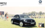 Beetle Fender.jpg