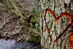 wooden_heart.jpg
