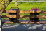 hitzestau-reddevil-prodigy-3.jpg