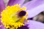 PK5_9418.jpg