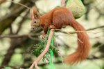 DSC_6061k.jpg