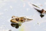 DSC_6166k.jpg