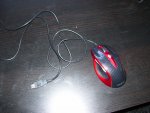 100_2657.JPG