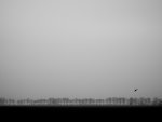 P4101254.jpg