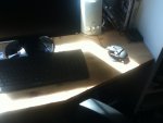 image-3362362917.jpg