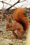 _DSC9969k.jpg