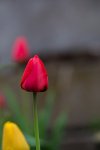 IMG_2297.jpg