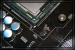 comp_IMG_1376.jpg