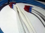 IMG_20110302_191016.jpg