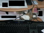 PCGH_Schreibtisch 1.jpg