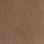 black-walnut.jpg