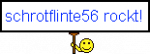 schrotflinte56.png