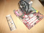 Bundle 1.jpg
