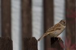 IMG_2492.jpg