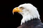 IMG_5840.jpg