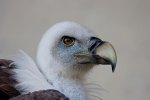 IMG_5885.jpg