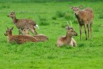 DSC_0339k.jpg