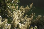 DSC05509_900.jpg