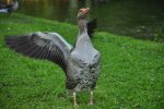 DSC_0644.jpg