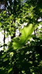 DSC_0192_450x800.jpg