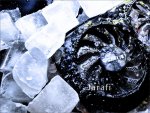 Kühler 02.jpg