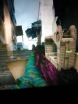 bug.jpg