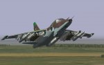 SU-25 (1).jpg