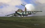 SU-25 (15).jpg