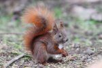 DSC_0776k.jpg