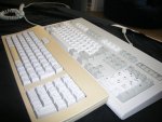 kleinP6050026.jpg