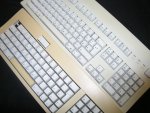 kleinP6050034.jpg