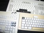 kleinP6050029.jpg