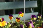 DSC05482_900.jpg