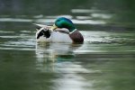 DSC_1022k.jpg