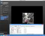 cinebench normal.png