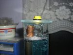 DSCI0483.JPG