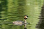 DSC_1144k.jpg