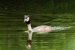 DSC_1186k.jpg