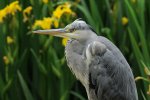 DSC_1227k.jpg