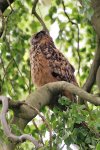 DSC_1539k.jpg