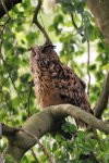 DSC_1635k.jpg