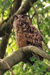 DSC_1655k.jpg